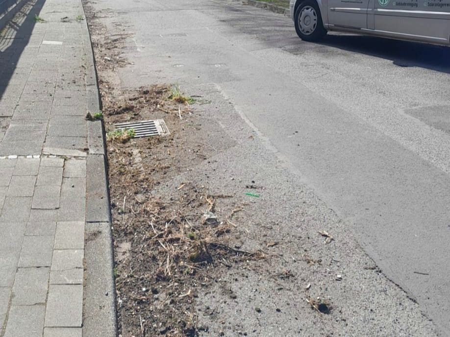 Gehweg und Bordstein mit Unkraut und Verschmutzungen vor der Reinigung